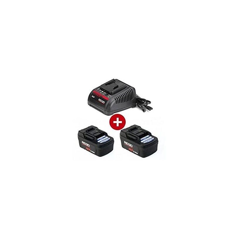 KIT, 2 BAT 4,0AH 18 v + 1 CARGADOR 230v